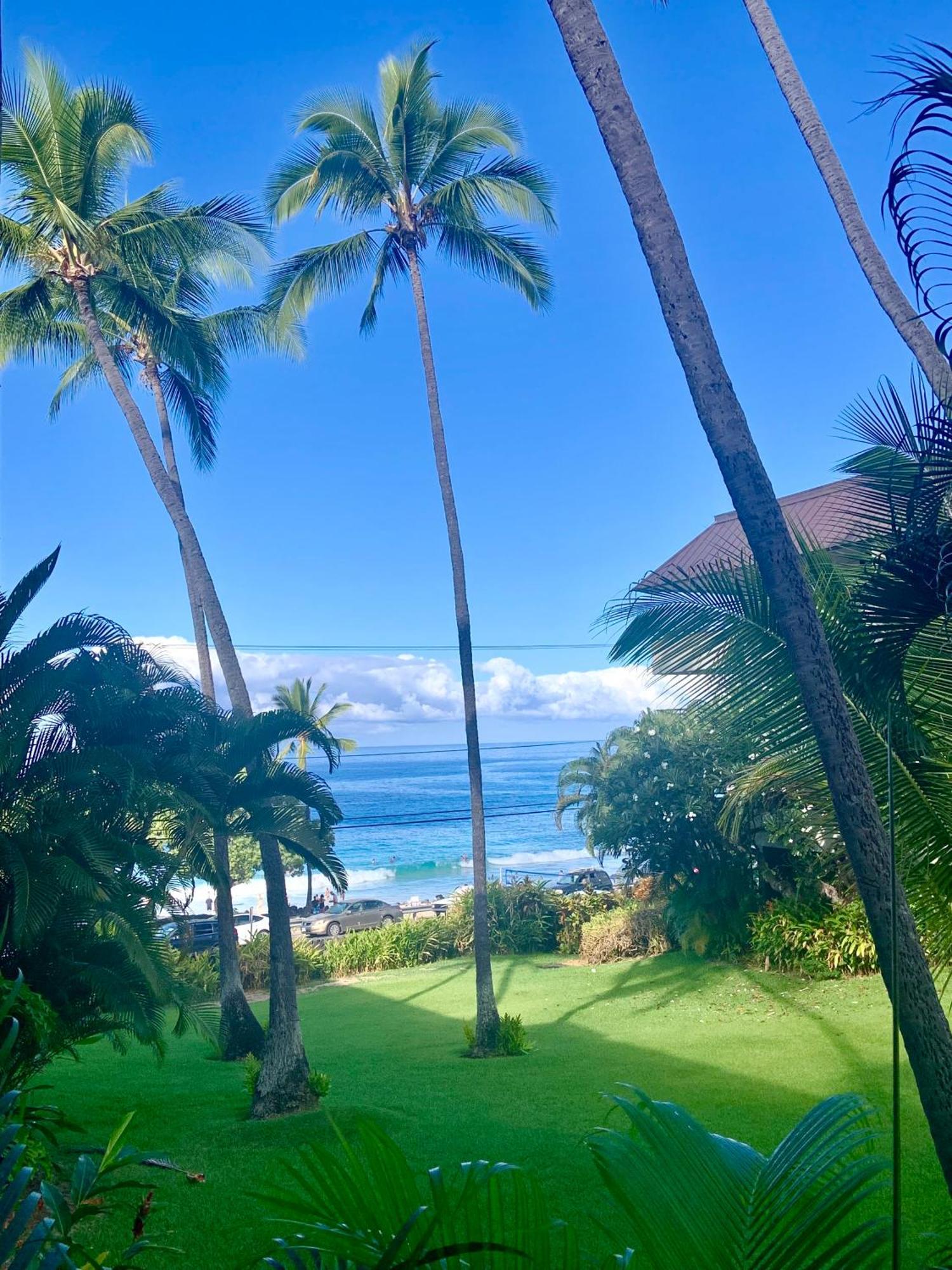 Magic Sands Beach View, 2B2B, Ac, Pool, Sleeps 6 Kailua-Kona Eksteriør bilde